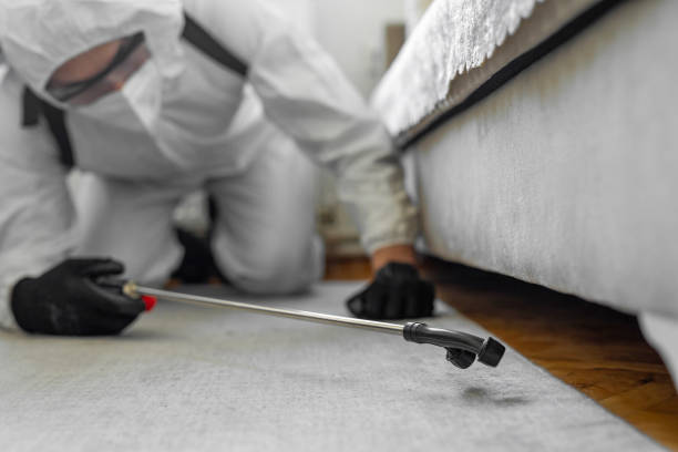 Professional Ant Control technician working in Caribou, ME