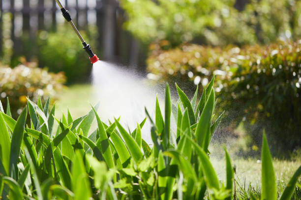 24/7 Emergency Ant Control experts in Caribou, ME