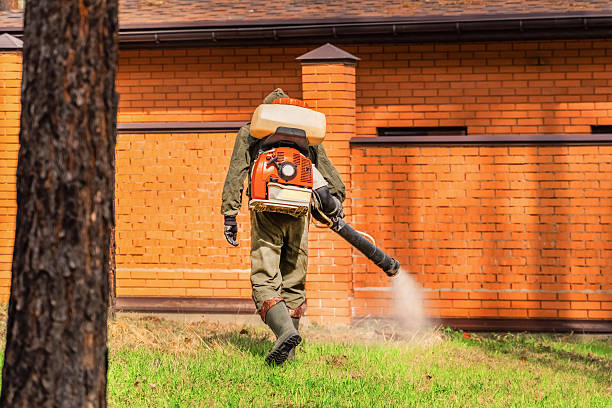Trusted Cockroach Control service in Caribou, ME - Nex Pest Control